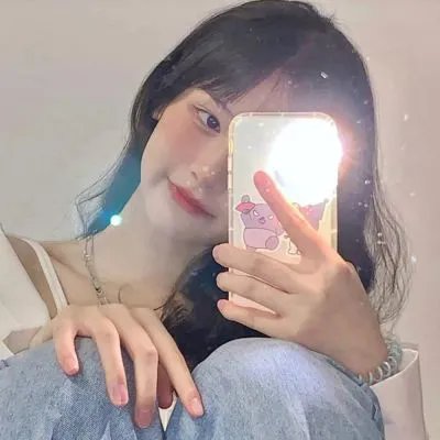 完美独裁